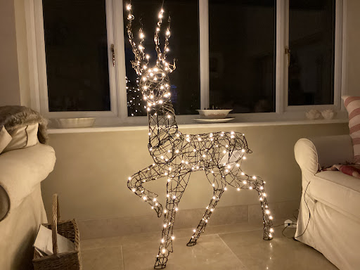 Garden Trends - Thumbnail