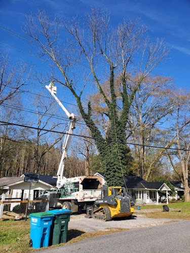 Clean Cut Tree Care LLC