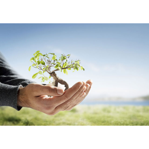 JB Insurance Solutions, Inc. - Thumbnail