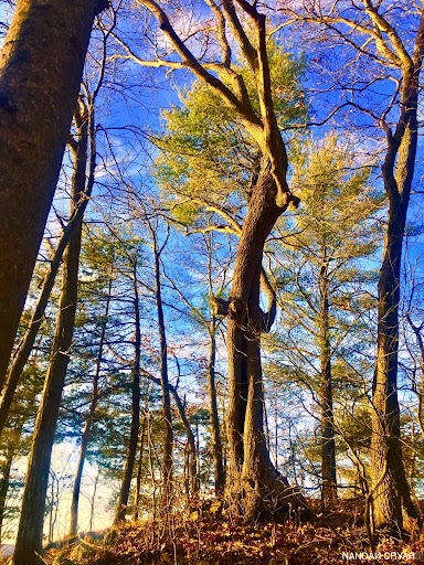 Metacomet Trail Access Parking - Thumbnail