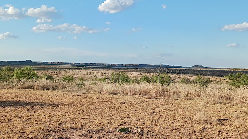 Spur Ranch - Visual