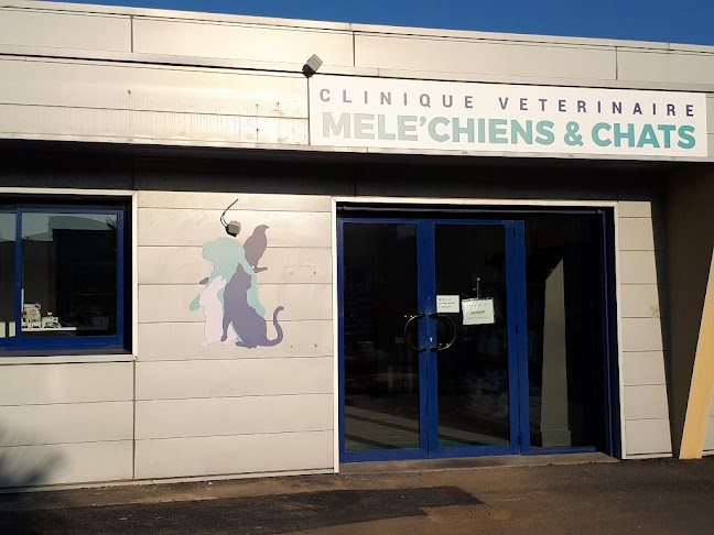 Numéro de téléphone de Clinique vétérinaire des Mele'chiens et chats
