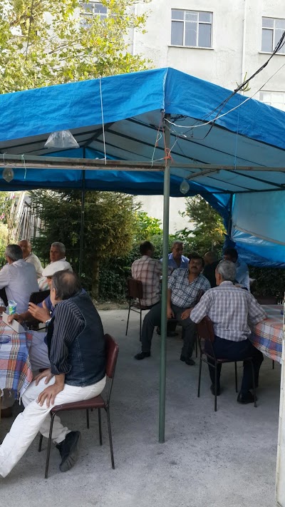 Photos of Oren Belediyesi