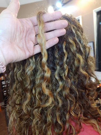 Andi's Salon Gallery - United States