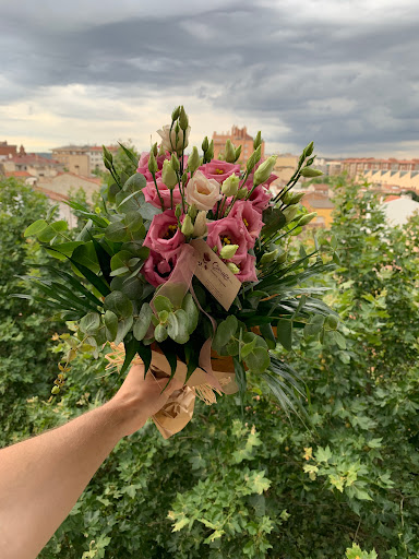 Floristería Caralt - Thumbnail