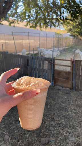 Pajaretes Rancho El Lago - Thumbnail
