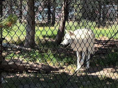 Grizzly & Wolf Discovery Center