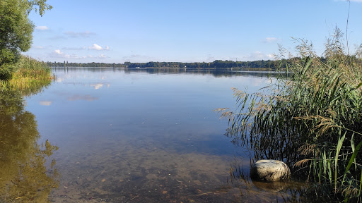 Parkplatz und Wiese - Thumbnail