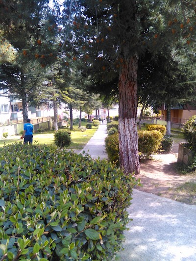 Photos of Esentepe &Ccedil;ınar &Ccedil;ocuk Parkı