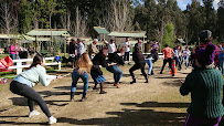 Ecoturismo Bosque Los Perales - Quilpué