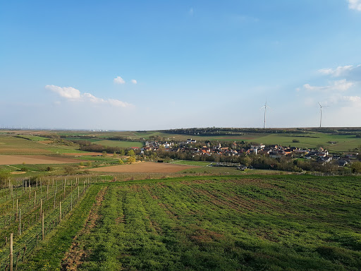 Mölsheim - Thumbnail