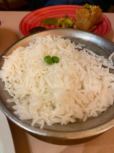 Spice Root - Visual