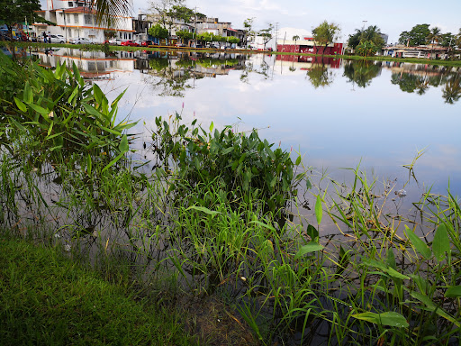 Laguna Estrella Andrade