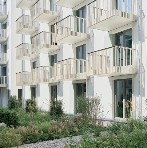 Schwan Locke, Theresienwiese by null