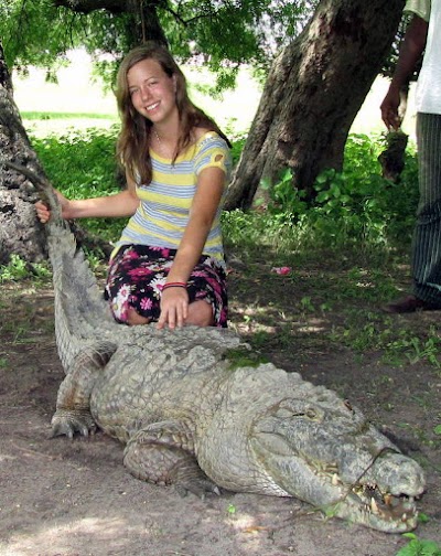 zoo