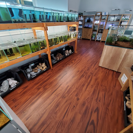 Tiny Aquatics - Visual