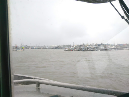 Tide Table Coffee - Visual