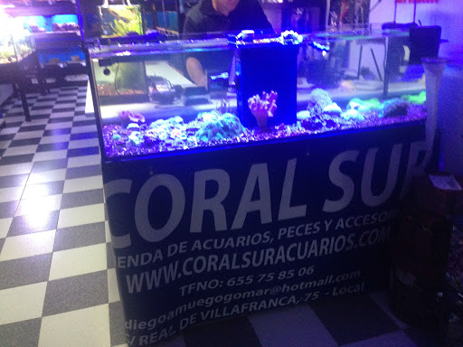 Coral Sur - Thumbnail