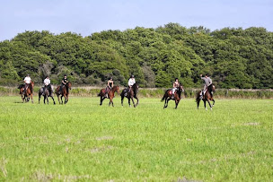 Photo n°9 de EARL Le Sabot d'Or à Saint-Nazaire (Écurie)