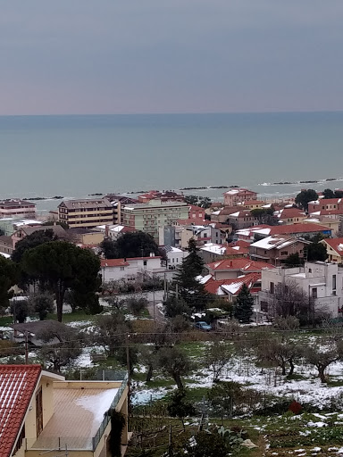 Consalvi Dr. Paolo