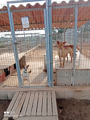SPAC Protectora d'Animals de Torredembarra Logo