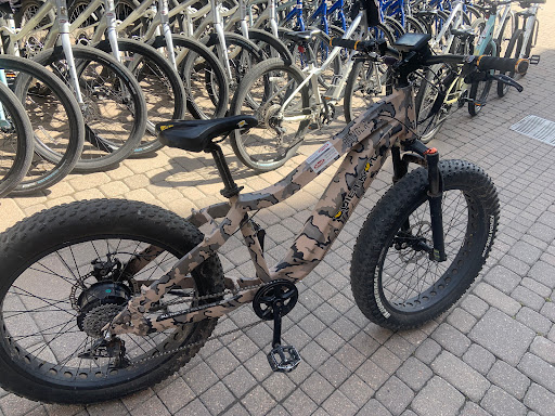 Wheel Base - Visual