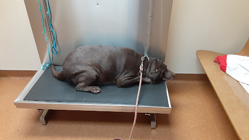 Fairborn Animal Hospital - Thumbnail
