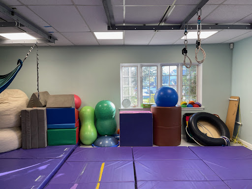 Pediatric Occupational Therapy Services (POTS)