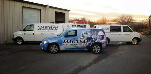 Magnum Electronics - Visual