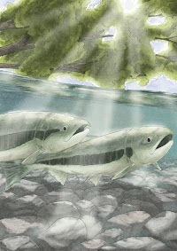 インディアン水車まつり実行委員会