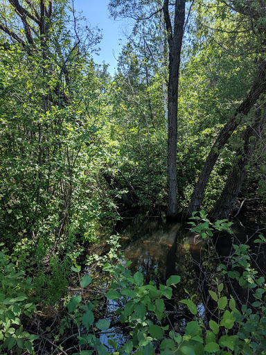 Prentice Park City Campground - Thumbnail