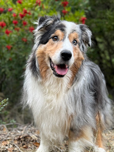Faith Albright, DVM clinic photo