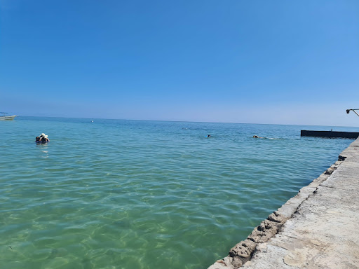 Isla de Enmedio