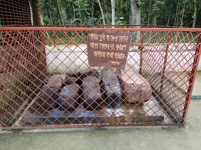 Photos of Rupsha Bazar (Robin)