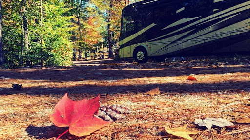 Pine Acres RV Ltd Moncton - Thumbnail