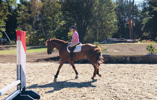 Driftwood Equestrian - Thumbnail