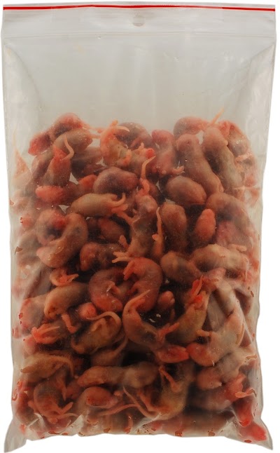 Photos of Tropic-Shop