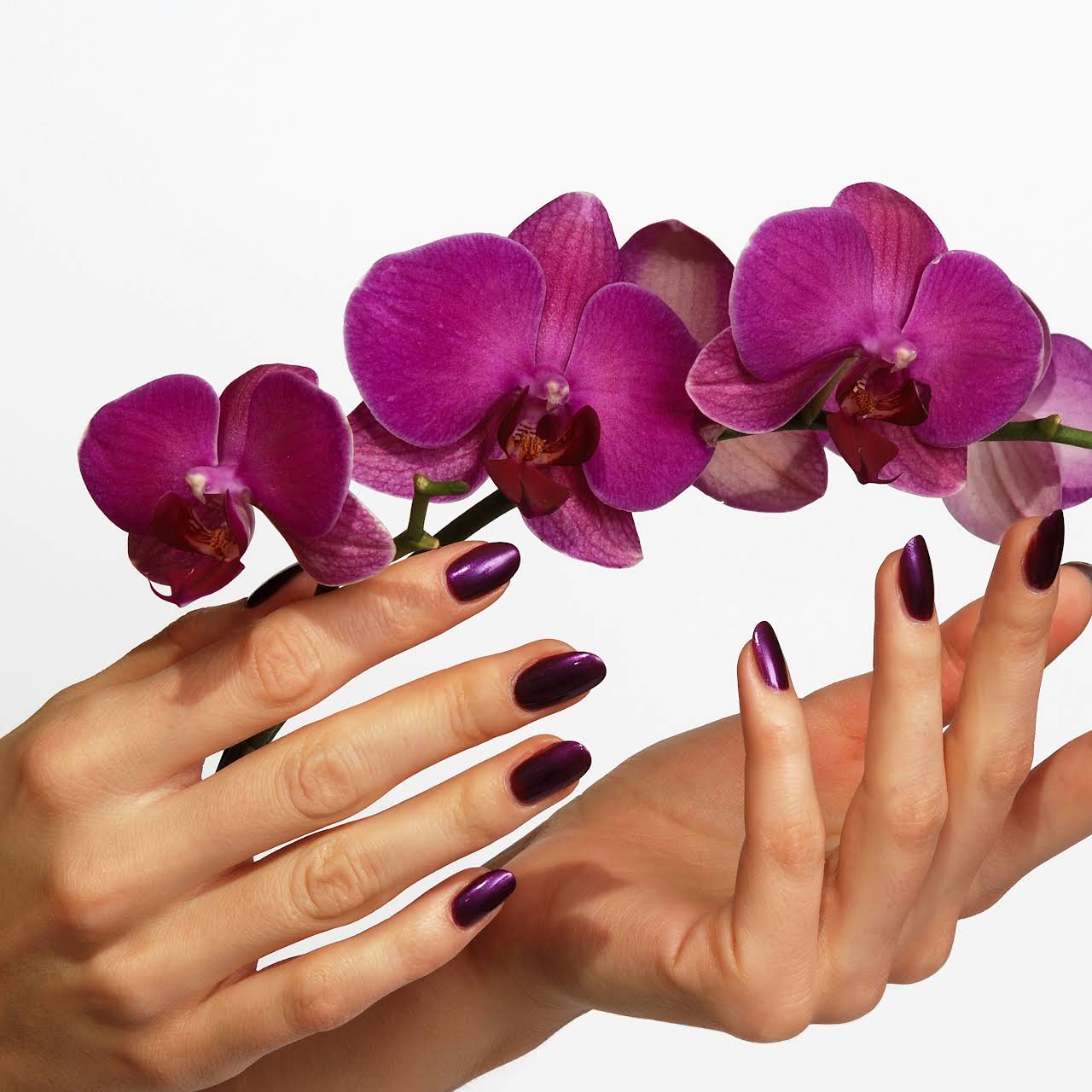 Legend Nails Nail Salon in 10048 NE 137th St, Kirkland, WA 98034