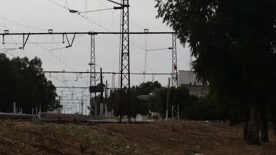 Photos of Gare Ferroviaire Khemisset Chaouia