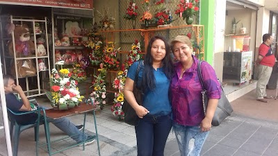 Photos of Tienda De V&iacute;veres "Laurita"
