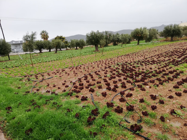 Εθ. Αντιστάσεως ΚΑΙ, Δήμητρος 39, Ελευσίνα 192 00
