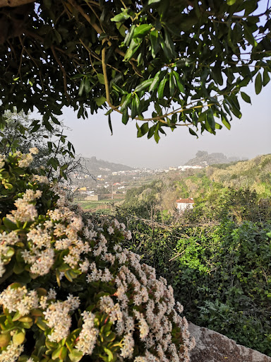 Mirador D. Miguel de Unamuno - Thumbnail