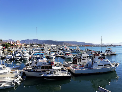 Bahia Todo Los Santos Ensenada