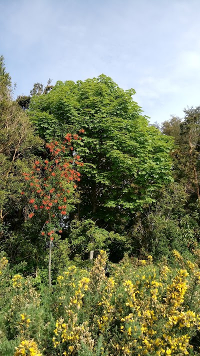 Photos of Camping El Venado