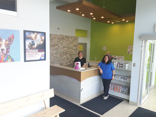 Vimy Bridge Animal Hospital - Thumbnail