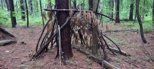 Corcoran Environmental Study Area - Thumbnail