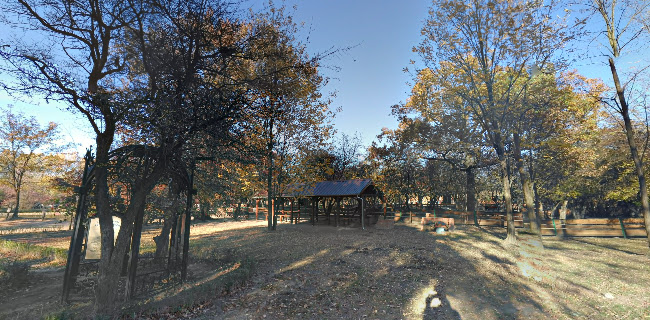 Telefonszám: Szigethalmi Vadaspark