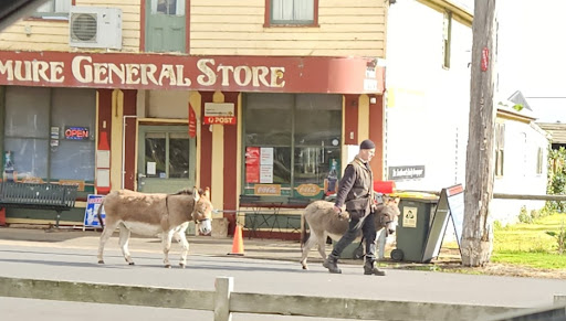 Panmure General Store - Thumbnail