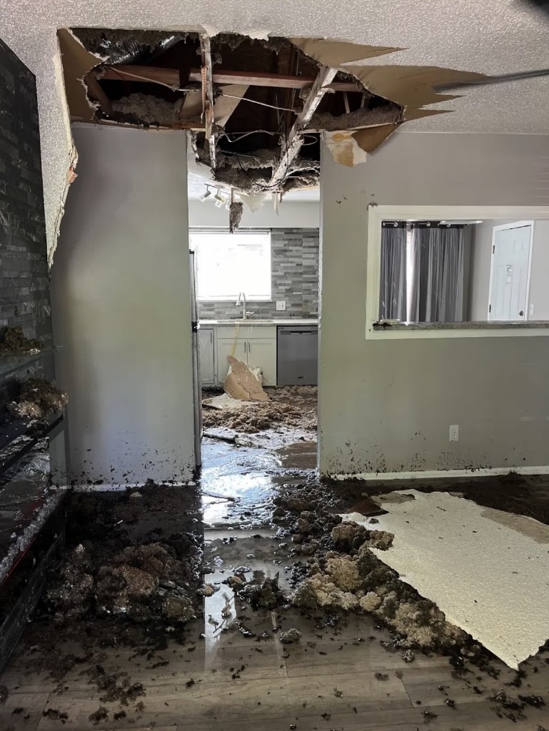 IN & OUT Water Damage Restoration of Torrance photo