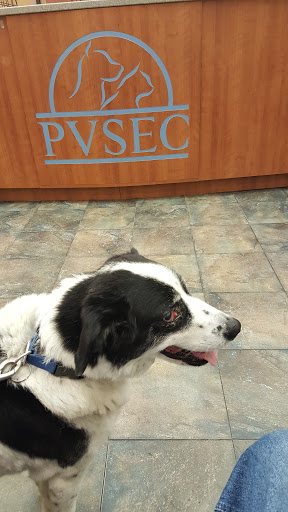 Animal Eye Clinic-Pittsburgh - Thumbnail